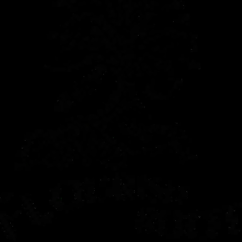 Meet your Posher, Jen